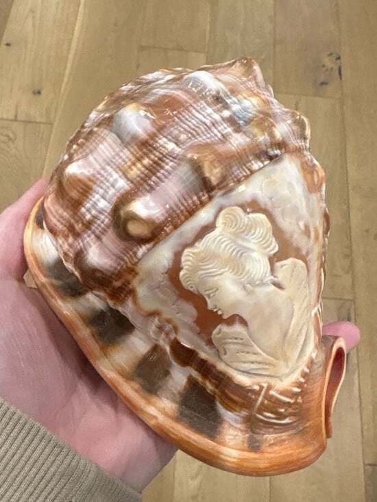Vintage Hand Carved Italian Bullmouth Helmet Conch Shell Cameo Victorian Lady Pr